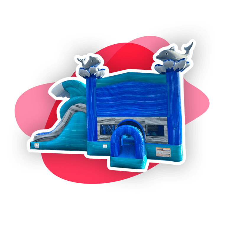 Dolphin