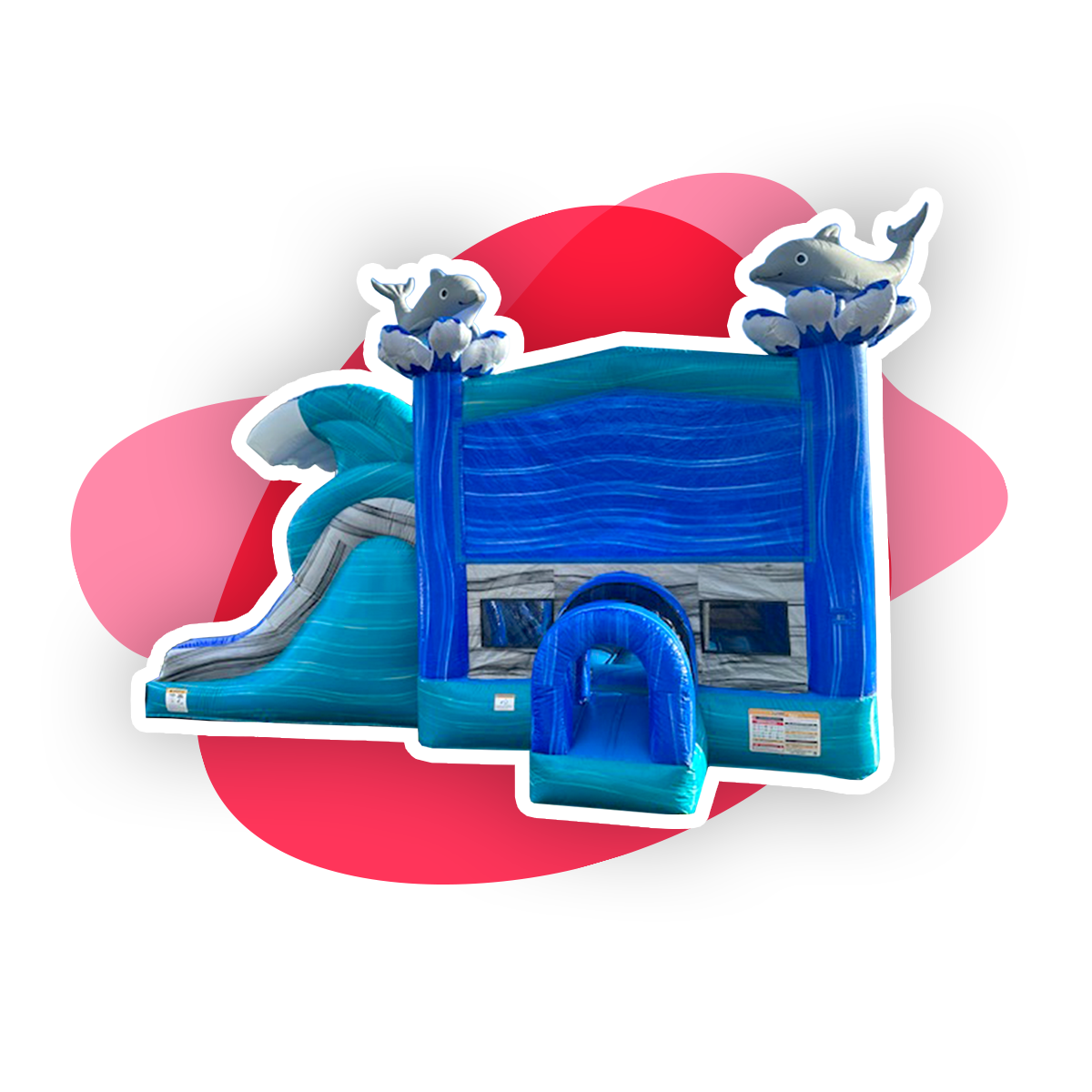Dolphin